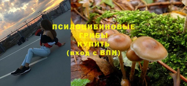 круглые Аркадак