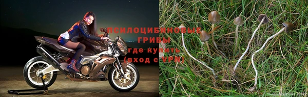 круглые Алзамай